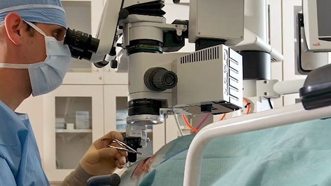 Career Development: Optometry